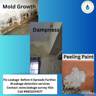 Fix the water leakages before they become a worry