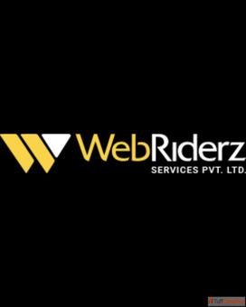 Best Web Development Company WebRiderz