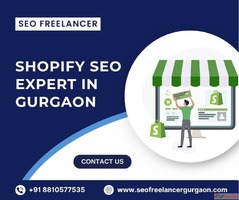 Increase Traffic with a Trusted Shopify SEO Expert in Gurgao...