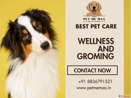 Noida's First Dog Friendly Cafe - Pet Me Maa Dine with Your Dog