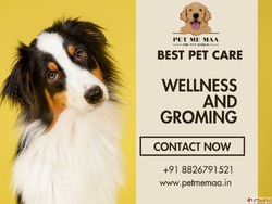 Noida's First Dog Friendly Cafe - Pet Me Maa Dine with ...