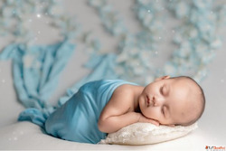 Explore New Born Photoshoot Options in Noida