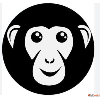 Top Email Marketing Agency in Ahmedabad India