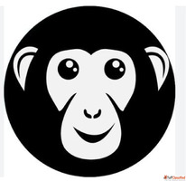 Top Email Marketing Agency in Ahmedabad India