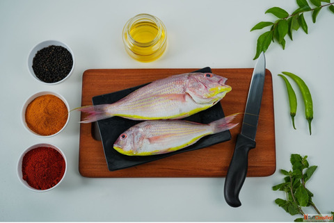 FRESH HOOK FISH CORNER