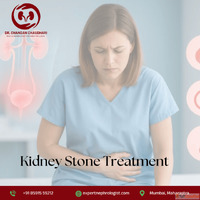 Best Kidney Stone Treatment in Mumbai - Safe Effective Care