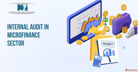 Professional Internal Audit in Microfinance Sector Solutions
