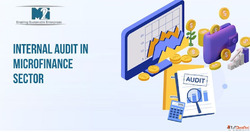 Professional Internal Audit in Microfinance Sector Solutions