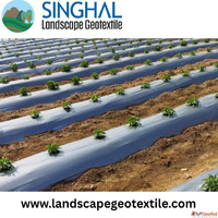 Mulch Film for Modern Agriculture Enhancing Soil Health Boos...