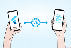 Looking for a Flutter vs. Native Mobile Apps Choosing the Ri...