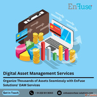 Organize Thousands of Assets Seamlessly with Expert DAM Serv...
