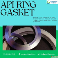 Best API Ring Gasket