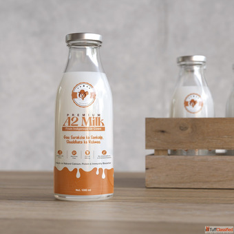 A2 Desi Cow Milk Near Me - Freshly Collected Naturally Healthy Choice