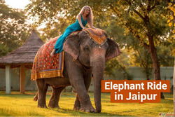 Book the Best Elephant Ride in Jaipur at Elejungle Today