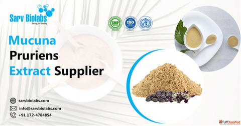 Trusted Mucuna Pruriens Extract Supplier Sarv Biolabs