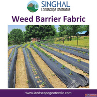 Weed Barrier Fabric for Clean and Organized Garden Spaces