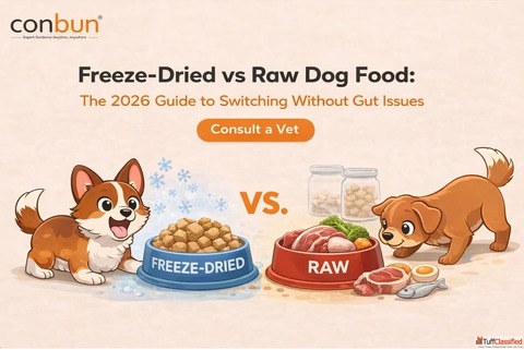 Freeze-Dried vs Raw Dog Food 2026 Guide for Safe Switching Without Gut Issues
