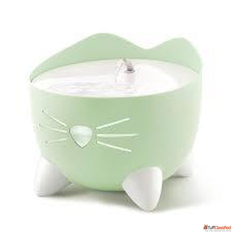 Best Cat Water Fountain Freeze Dried Cat Food