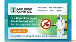 Best Pest Control Gurgaon Safe Affordable Services