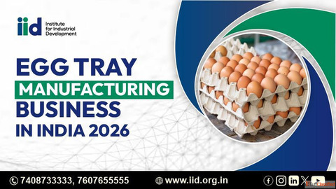 Start Egg Tray Manufacturing Business in India Low Investment