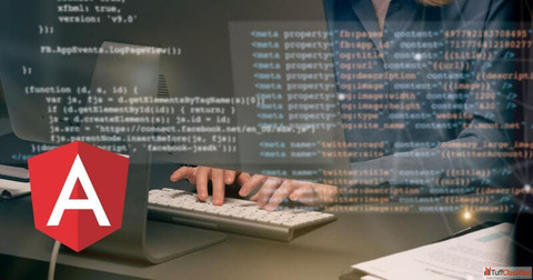 Hire Angular App Developers in India