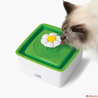 Catit Mini Flower Fountain Best Pet Water Fountain in India
