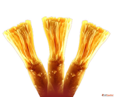 Fresh Premium Miswak Wholesale - Natural Oral Care