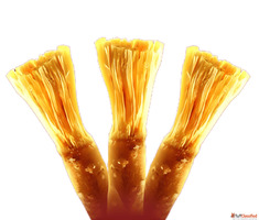 Fresh Premium Miswak Wholesale - Natural Oral Care