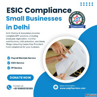 ESIC PF Compliance Services for Small Businesses in Delhi Am...
