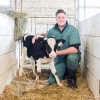 Best Veterinary Medicine Company in Indian