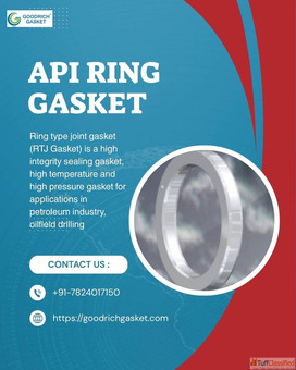 API ring gasket