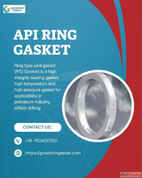 API ring gasket