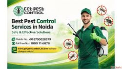 Pest Control Noida Same-Day Service at 999 - Book Now
