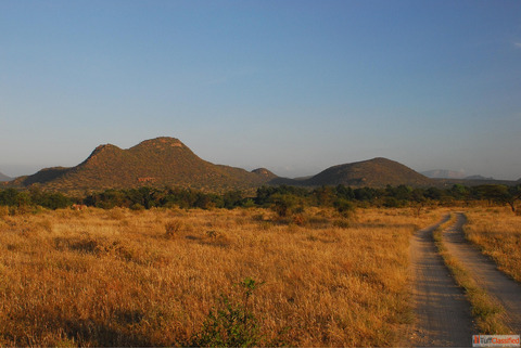 Essential Kenya visa requirements for germany citizens Know before Applying