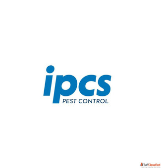 Top Termite Control Service in Jaipur IPCS Pest Control Service