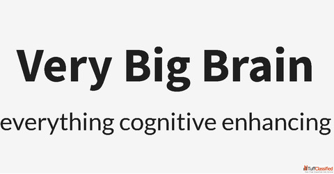 Very Big Brain