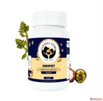 Help Your Dog Stay Fit ActiveNaturally