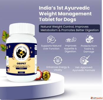 Help Your Dog Stay Fit ActiveNaturally