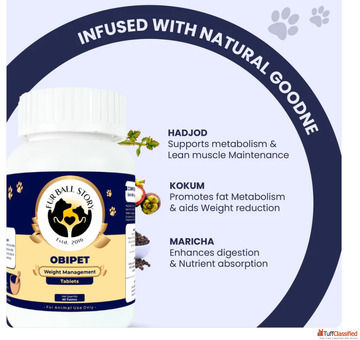 Help Your Dog Stay Fit ActiveNaturally