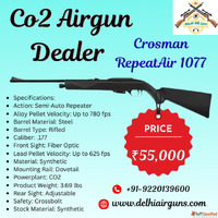 Top Co2 Airgun Dealer Delhi Air Gun 55000