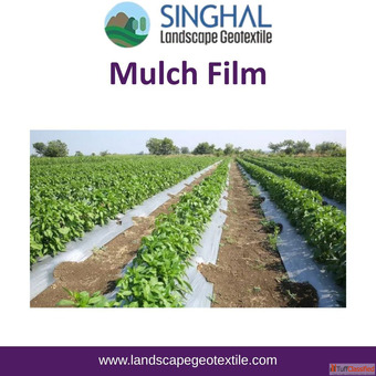 Reliable Mulch Film for enhancing overall farm productivity
