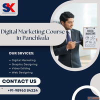 Digital Marketing Institute in Panchkula