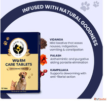 Say Goodbye to Worms Naturally