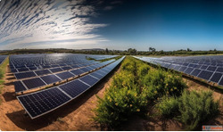 Go Green with Solar Panels for Agriculture