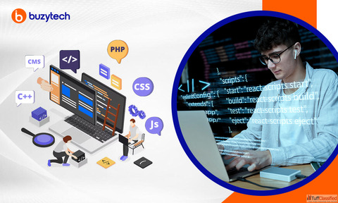 Professional Custom Website Development Chandigarh - Buzytech