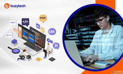 Professional Custom Website Development Chandigarh - Buzytec...