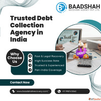 Baadshah Recovery Agency - Trusted Loan and EMI Recovery Exp...