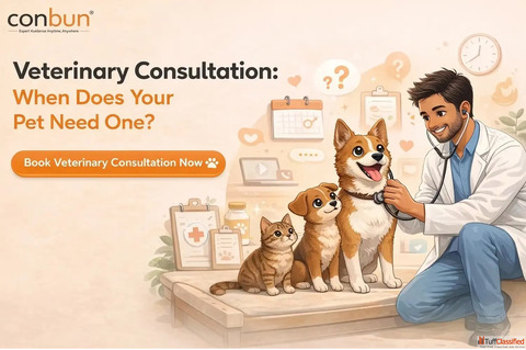 Veterinary Consultation When Does Your Pet Need One