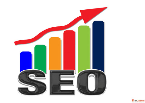 SEO Expert in Tirur-SHAHALA SHERIN