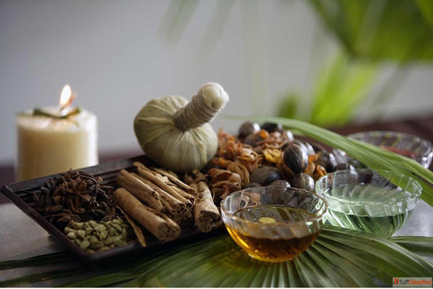 Effective Panchakarma Treatment in Delhi for Complete Wellness